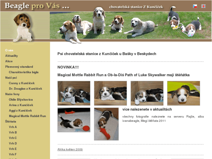 www.beagleprovas.cz