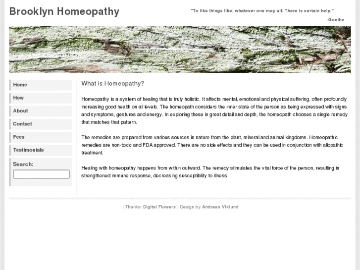 www.brooklynhomeopathy.com