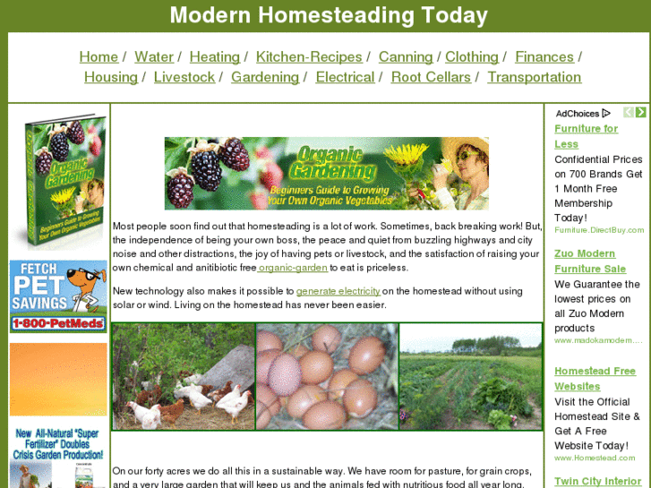 www.modernhomesteadingtoday.com