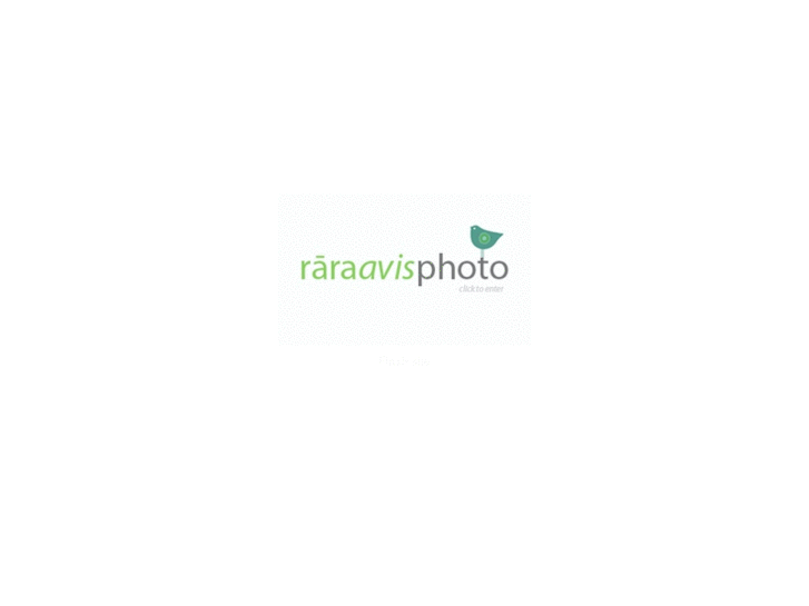 www.raraavisphoto.com