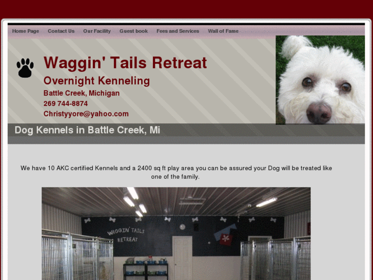 www.wagtailsretreat.com