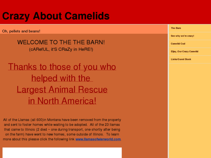 www.crazyaboutcamelids.com