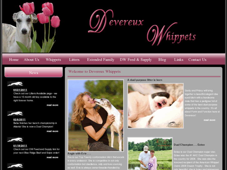 www.devereuxwhippets.com