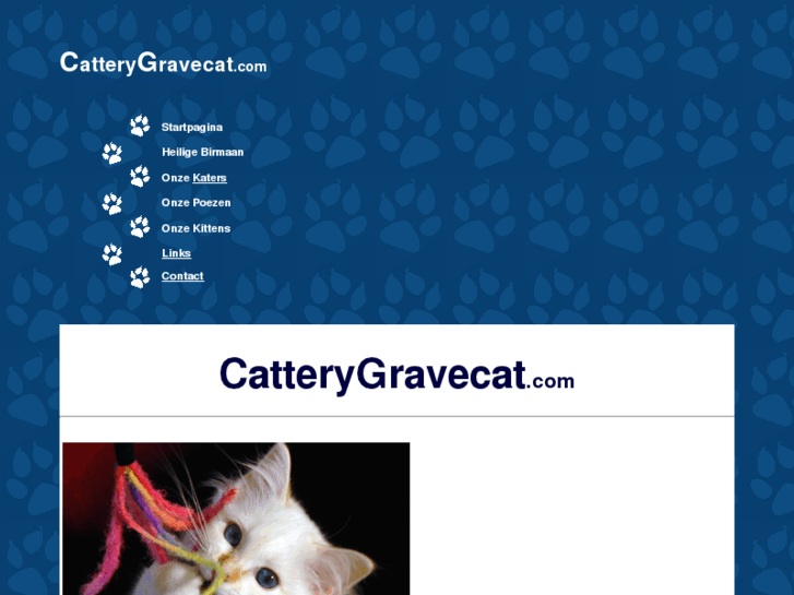 www.gravecat.com