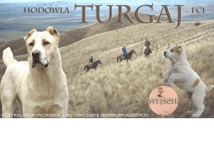 www.turgaj.eu