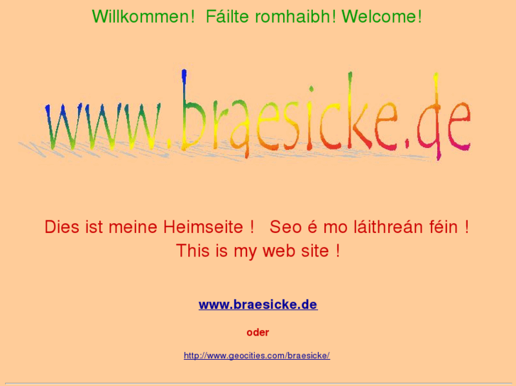 www.braesicke.de