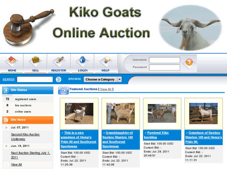 www.buykikos.com