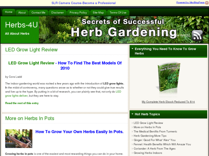 www.herbgardening4u.com