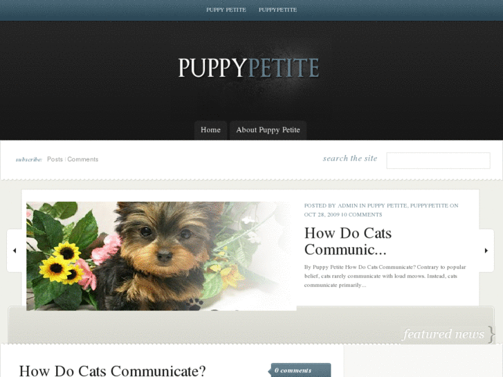 www.puppy-petite.com