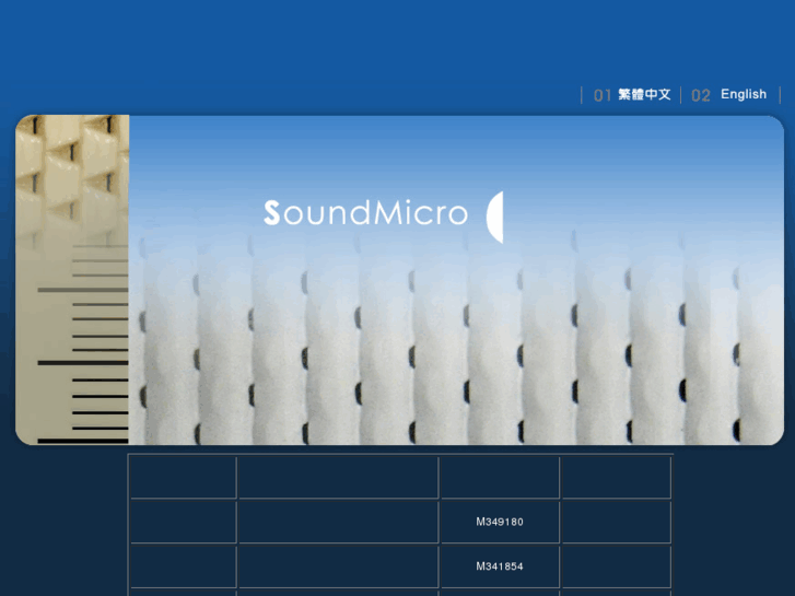 www.soundmicro.com