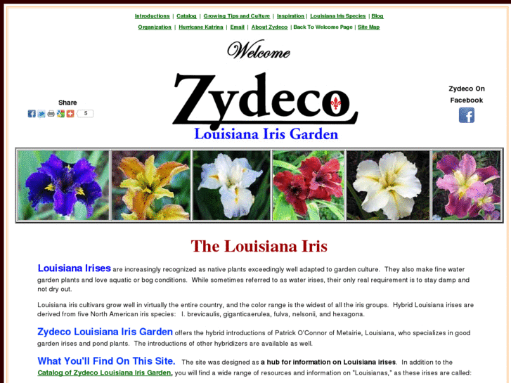 www.zydecoirises.com