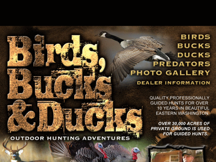 www.birdsbucksducks.com