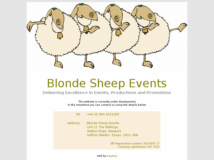 www.blondesheepevents.com