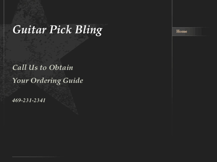 www.guitarpickbling.com