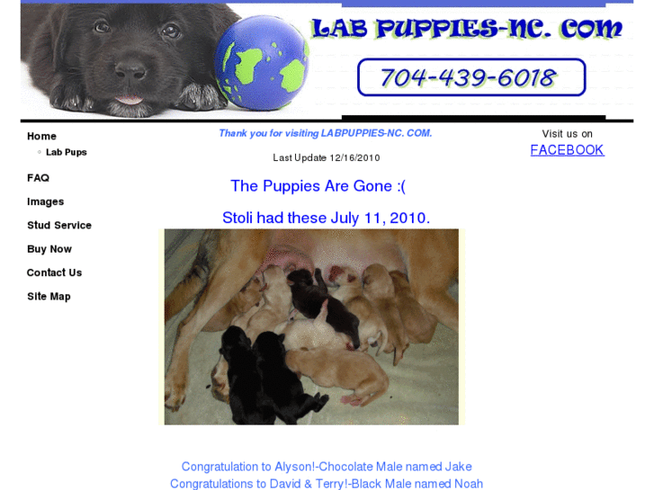 www.labpuppies-nc.com