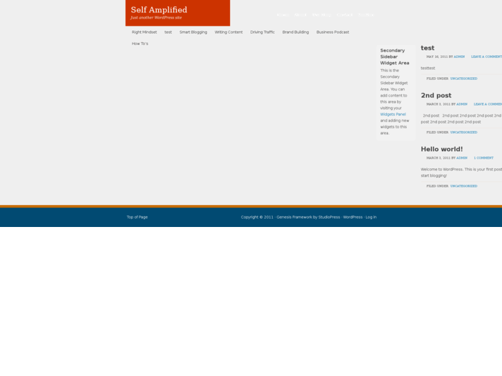 www.selfamplified.com