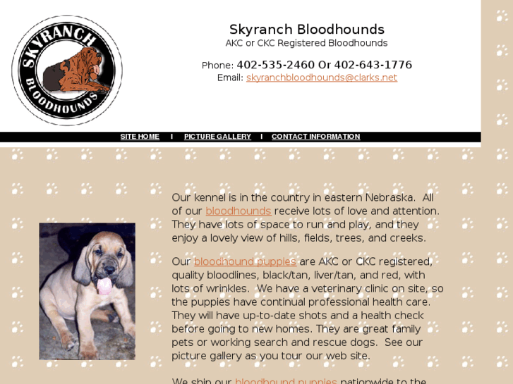 www.skyranchbloodhounds.com