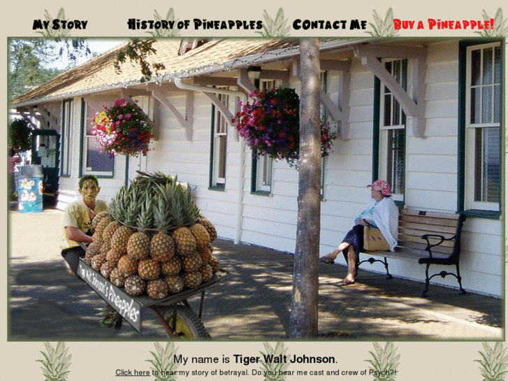 www.tigerwaltjohnson.com