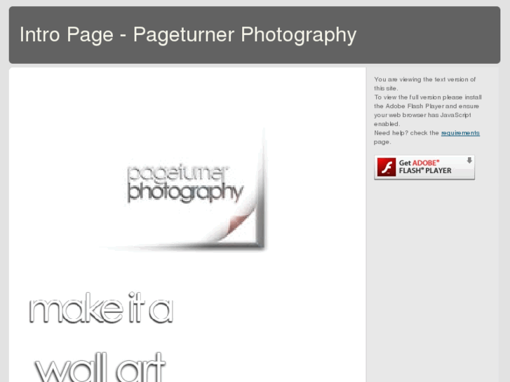 www.pageturnerphotography.com