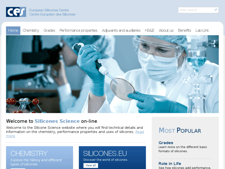 www.silicones-science.com