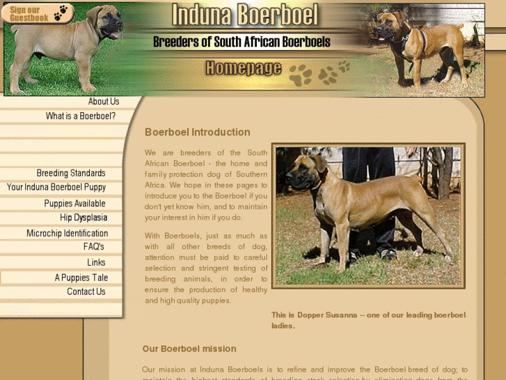 www.boerboelsa.co.za