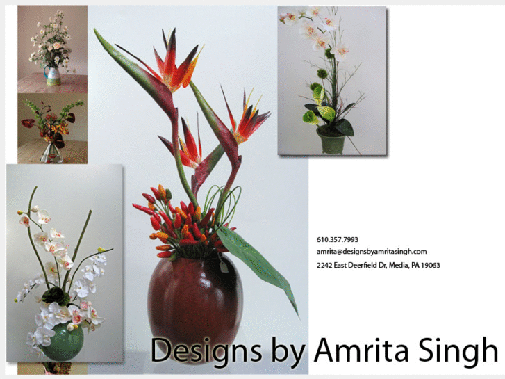 www.designsbyamritasingh.com