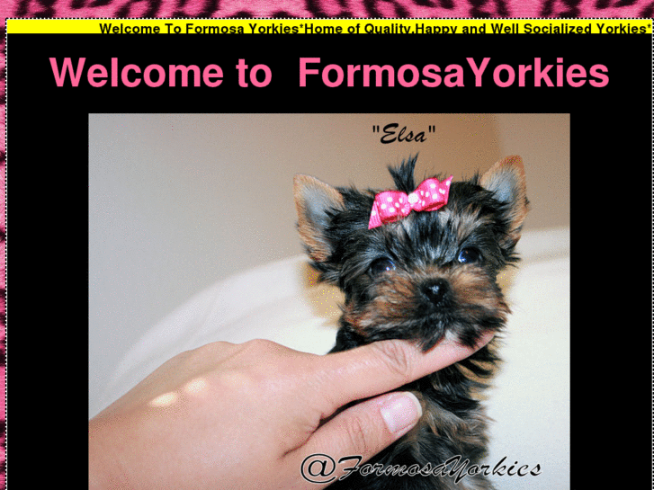 www.formosayorkies.com