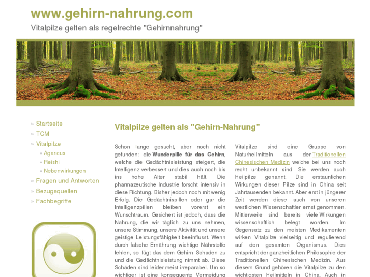 www.gehirn-nahrung.com