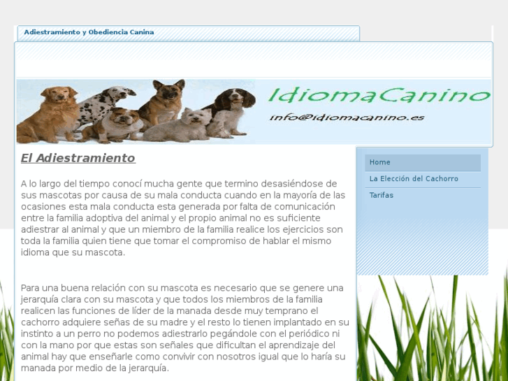 www.idiomacanino.es