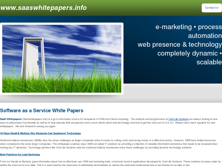 www.saaswhitepapers.info