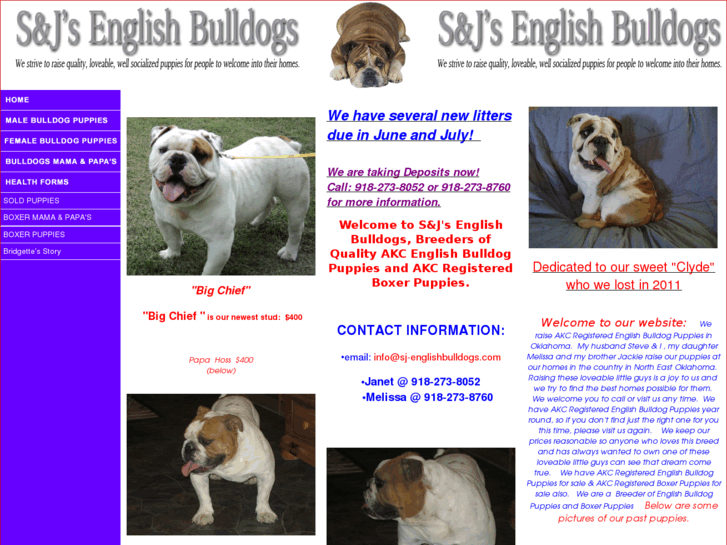 www.sj-englishbulldogs.com