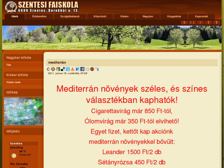 www.szentesifaiskola.hu