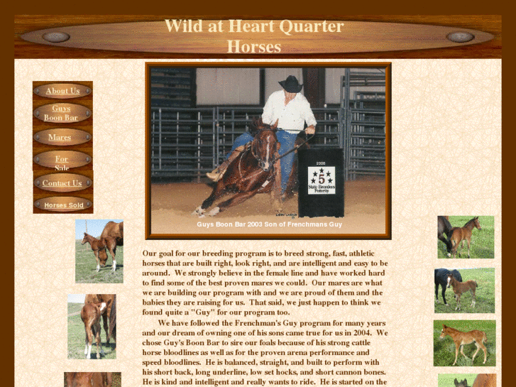 www.wildatheartquarterhorses.com