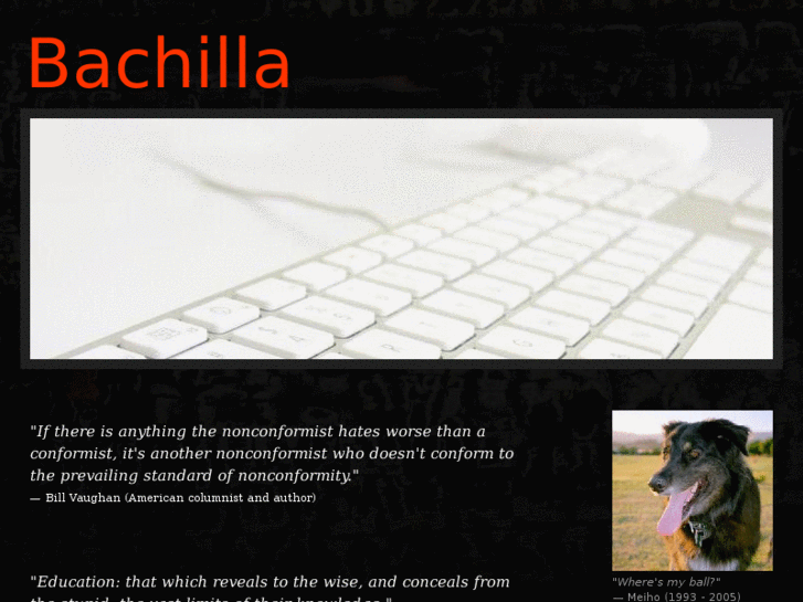 www.bachilla.com