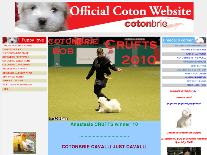 www.cotonbrie.com