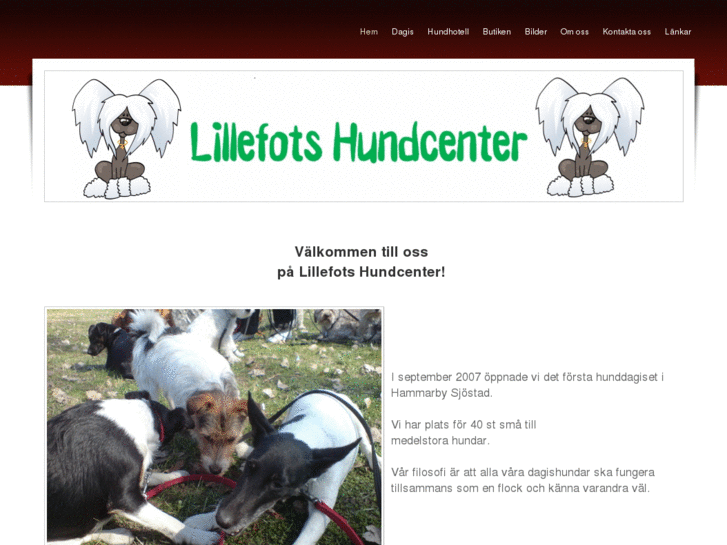 www.lillefots.com