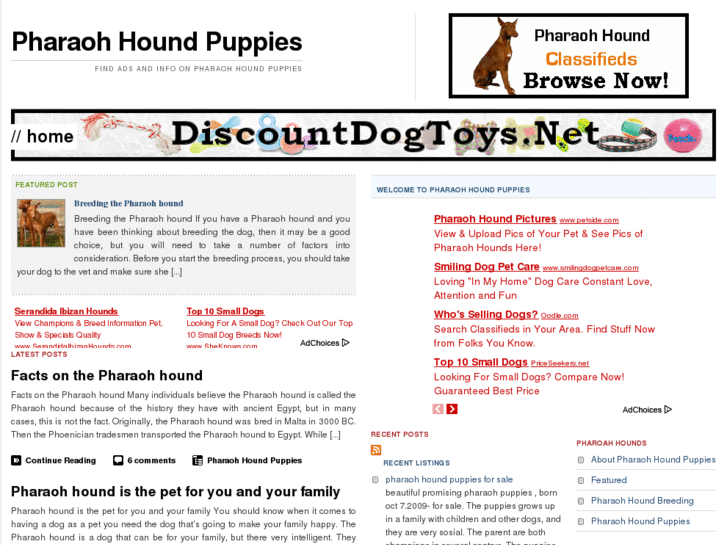 www.pharaohhoundpuppies.net