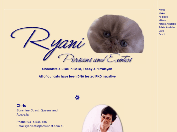 www.ryanicats.com