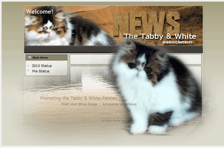 www.tabbyandwhite.org.uk