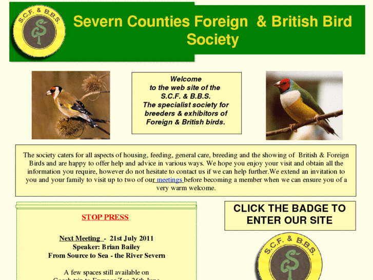 www.foreign-britishbirds.info