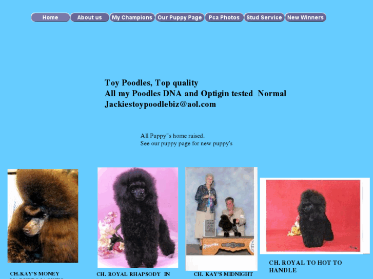 www.jackiestoypoodlebiz.com