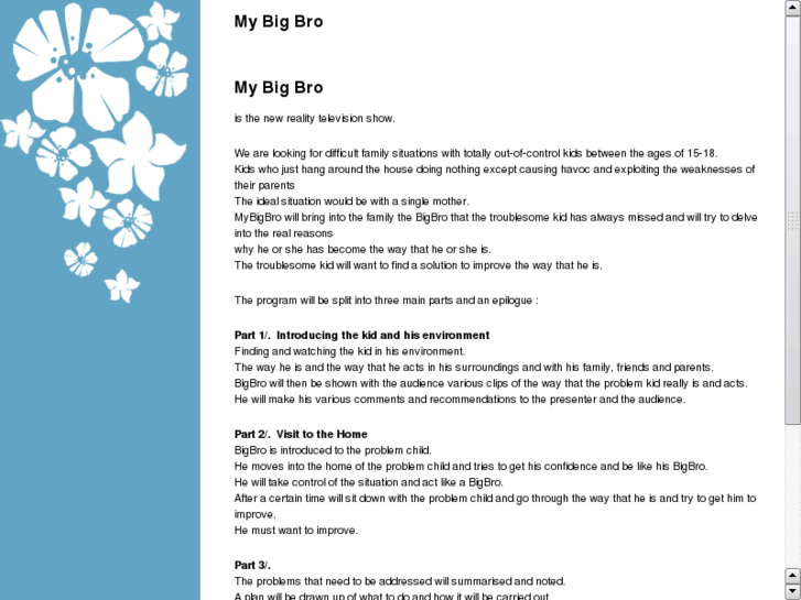 www.mybigbro.com