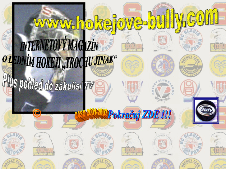 www.hokejove-bully.com