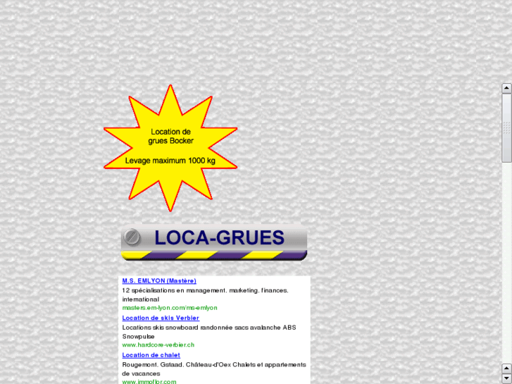 www.loca-grues.com