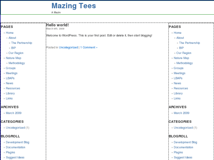 www.mazingtees.com