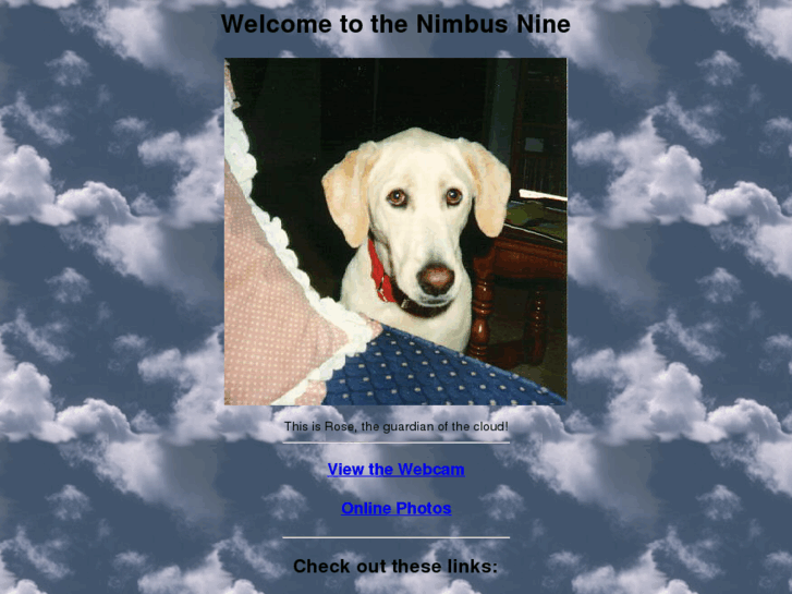 www.nimbusnine.net