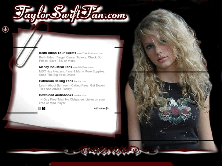 www.taylorswiftfan.com