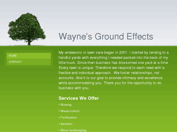 www.waynesgroundeffects.com