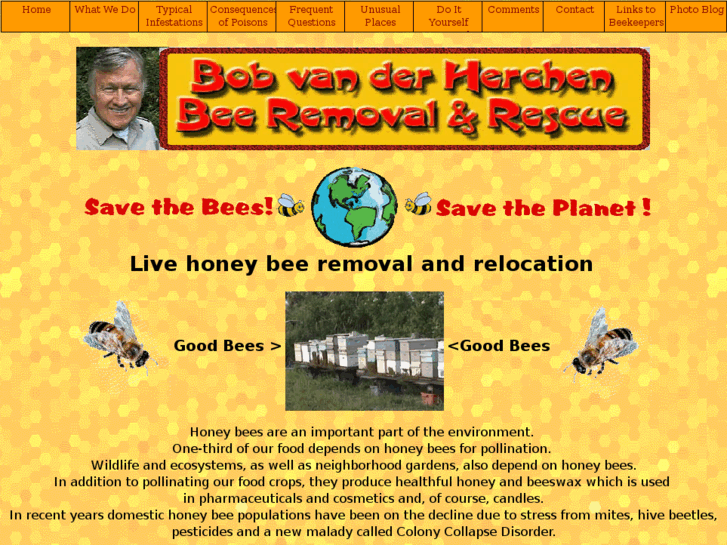 www.beerescue.biz