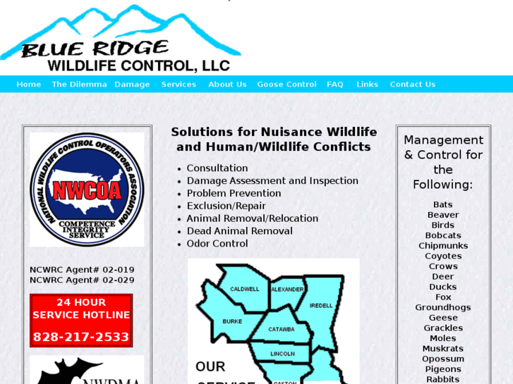 www.blueridgewildlife.com